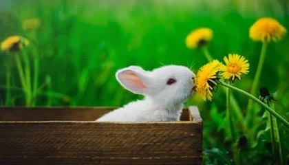 荒唐离谱！剧烈运动打扑克引发热议