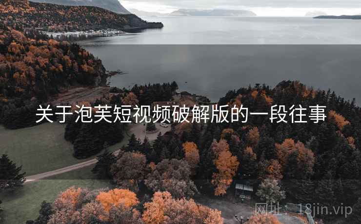关于泡芙短视频破解版的一段往事