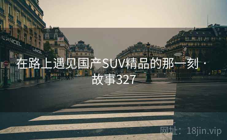 在路上遇见国产SUV精品的那一刻 · 故事327